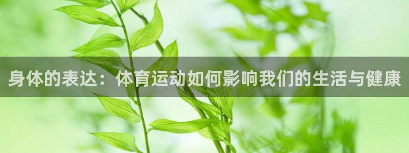 沐鸣平台登录线路：身体的表达：体育运动如何影响我们的生活与健康