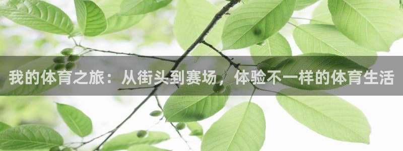 沐鸣2平台招商：我的体育之旅：从街头到赛场，体验不一样的体育生活