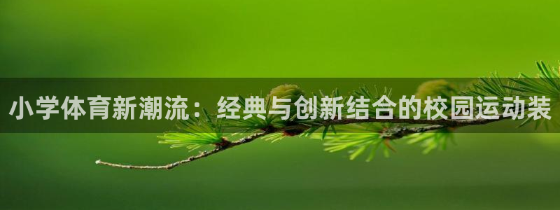 沐鸣平台在线注册：小学体育新潮流：经典与创新结合的校园运动装