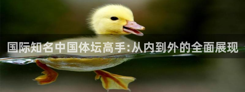 沐鸣2首页登录：国际知名中国体坛高手:从内到外的全面展现