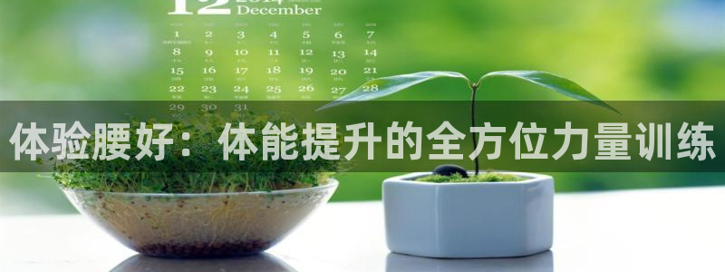 沐鸣2f平台注册：体验腰好：体能提升的全方位力量训练