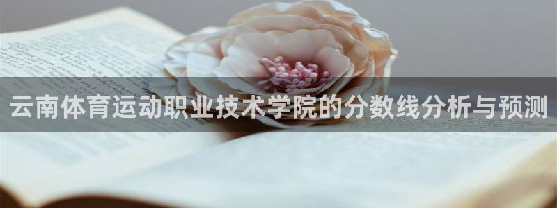 沐鸣2体育2：云南体育运动职业技术学院的分数线分析与预测