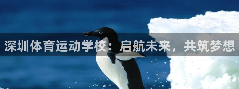 沐鸣2客户端 登录：深圳体育运动学校：启航未来，共筑梦想