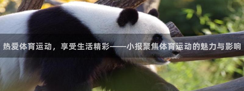 沐鸣23平台登录注册：热爱体育运动，享受生活精彩——小报聚焦体育运动的魅力与影响