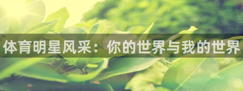 沐鸣2体育合法嘛：体育明星风采：你的世界与我的世界