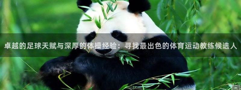 沐鸣22登录：卓越的足球天赋与深厚的体操经验：寻找最出色的体育运动教练候选人