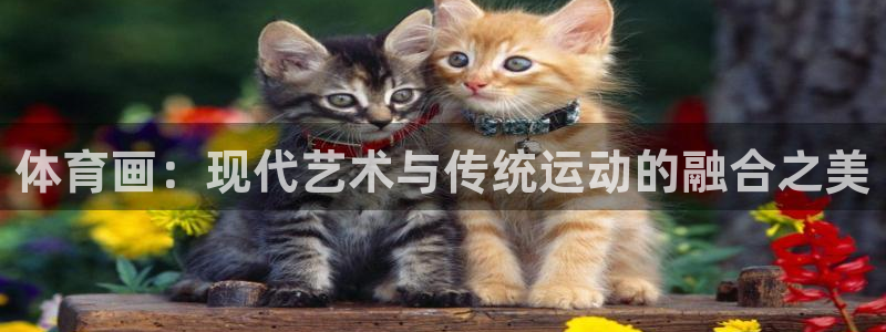 沐鸣24注册：体育画：现代艺术与传统运动的融合之美