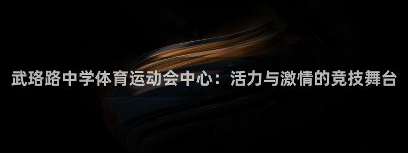 沐鸣23官网登录：武珞路中学体育运动会中心：活力与激情的竞技舞台