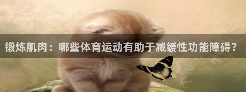 沐鸣2平台注册入口：锻炼肌肉：哪些体育运动有助于减缓性功能障碍？