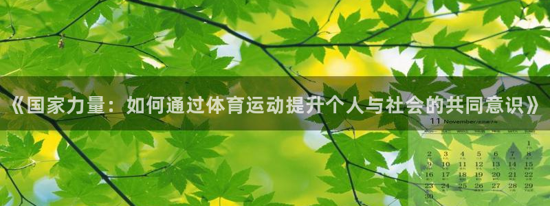 沐鸣2体育和杏耀是哪个公司的：《国家力量：如何通过体育运动提升个人与社会的共同意识》
