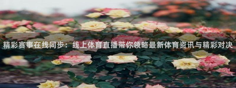 nba直播免费高清观看说球帝：精彩赛事在线同步：线上体育直播带你领略最新体育资讯与精彩对决