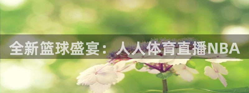 说球帝nba直播在线观看免费app：全新篮球盛宴：人人体育直播NBA
