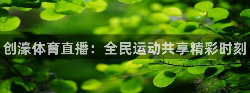说球帝说球帝nba直播在线观看：创濠体育直播：全民运动共享精彩时刻