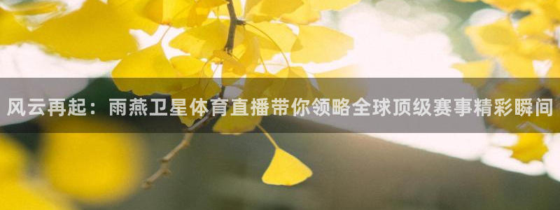 说球帝nba直播吧：风云再起：雨燕卫星体育直播带你领略全球顶级赛事精彩瞬间
