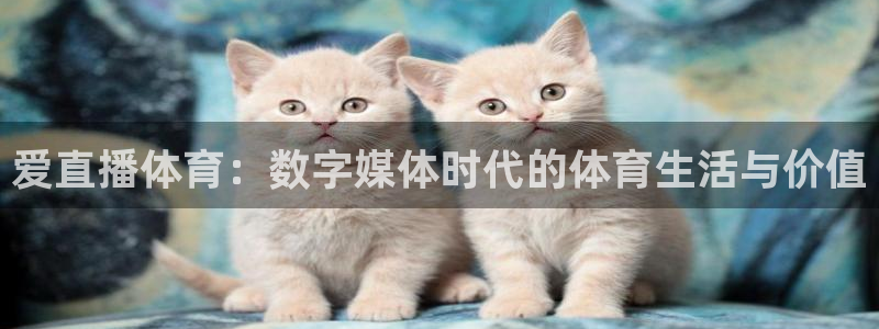 nba赛事直播说球帝：爱直播体育：数字媒体时代的体育生活与价值
