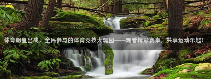 柠檬直播低调看篮球直播：体育明星出战，全民参与的体育竞技大观园——观看精彩赛事，共享运动乐趣！