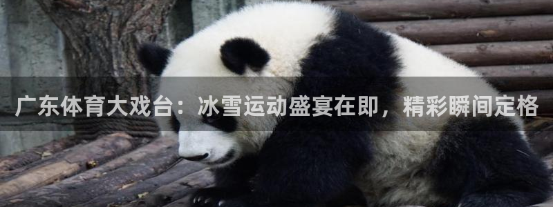 柠檬直播吧nba直播：广东体育大戏台：冰雪运动盛宴在即，精彩瞬间定格