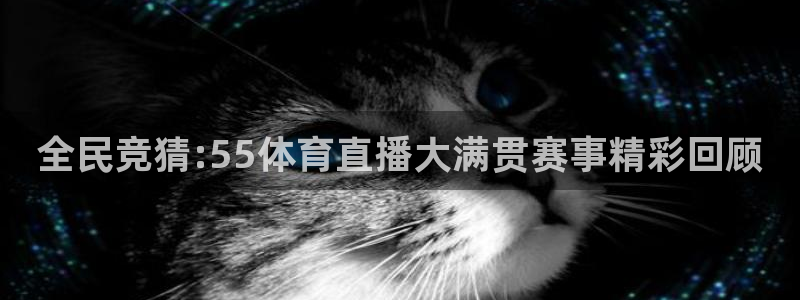 柠檬直播nba(无插件)直播无插件：全民竞猜:55体育直播大满贯赛事精彩回顾