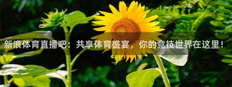 柠檬直播吧低调看直播：新浪体育直播吧：共享体育盛宴，你的竞技世界在这里！