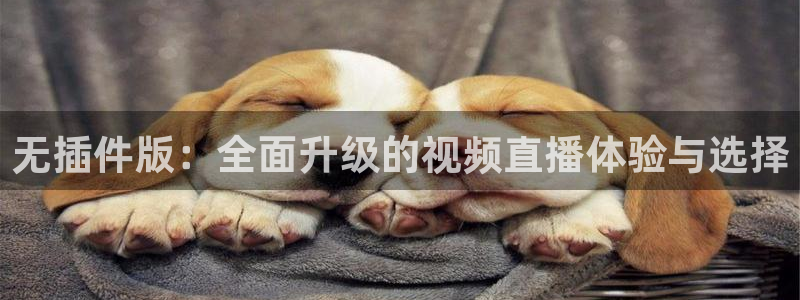 nba比赛jrs直播：无插件版：全面升级的视频直播体验与选择