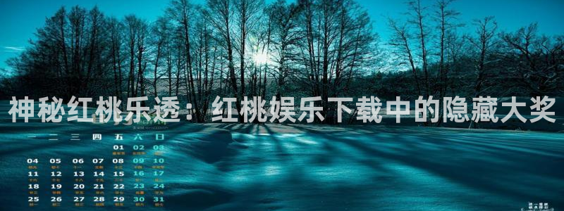 天辰娱乐苹果版安装教程