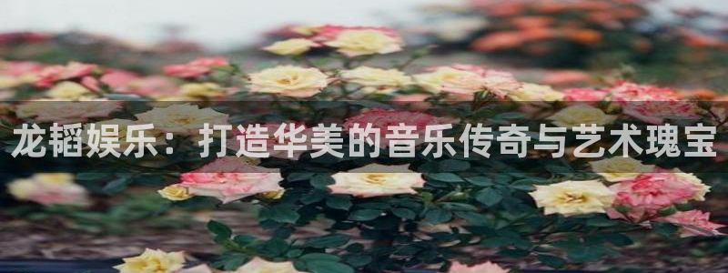 天辰娱乐入口
