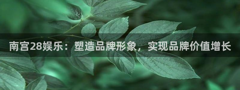 天辰娱乐入口